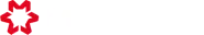 partner-11